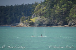 Orcas continue North and Sunshine before the squall and water turns turquoise