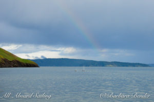 Some Whales under the rainbow, Speiden island