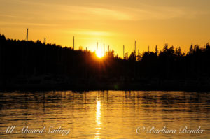 Whale watching with All Aboard Sailing returns to sunset over Friday Harbor