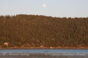 Orcas passing Orcas under full moon, Spring Pass, Orcas Island