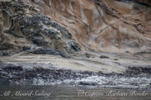 Sucia Island rock formations