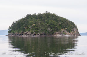 Sailing to Sucia - San Juan islands