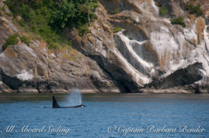 J26 Mike at Lovers Leap, Stuart Island