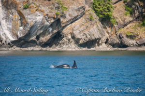 J-16 and J50, Stuart Island