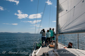 All Aboard Sailing Whale watching in Haro Strait, San Juan Island, out of Friday Harbor