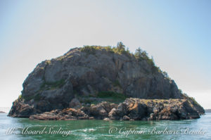 Sailing around Castle Island