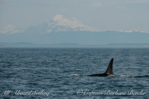 J34 with Mt Baker