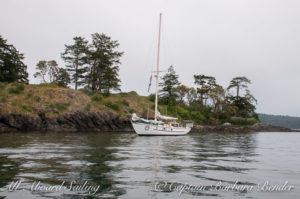 At anchor in the lee of Yellow Island