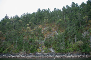 Shaw Island cliff face