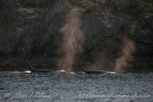 T77B and T75B passing Turn Island