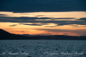 Whale watching sailing San Juan Island Into the sunset