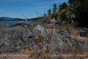 West spit, Yellow Island