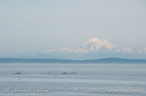 Orcas with Mount Baker