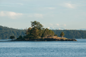 Little McConnell Island