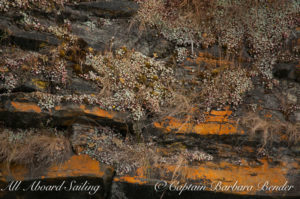 Colored cliff face of thousand year old Lichens