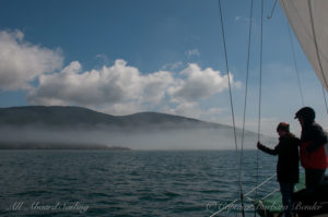 Sailing towards the fog to find orcas