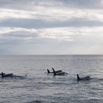 Capt Barbara’s family visits San Juan Island