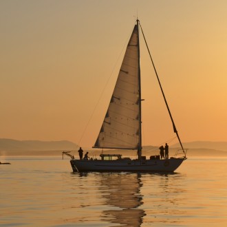 All of J pod and L87 resting in the sunset