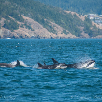 Sailing around Lopez Island with the T65As & T75Bs