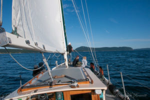 Sailing with whales