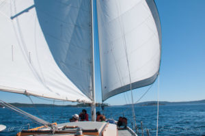 Wing on wing sailing in the San Juan aIslands