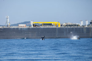 Double breach next to commercial vessel