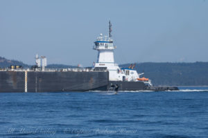 Breach next to tug boat