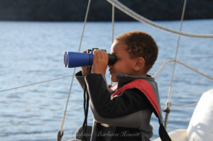 Using binoculars to see wildlife