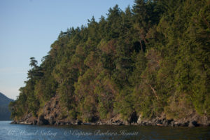 Upright Head, Lopez island