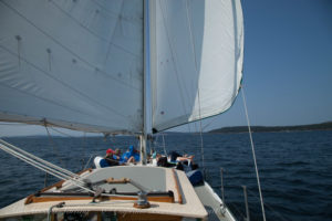 Sailing with whales wing on wing downwind in Haro Strait