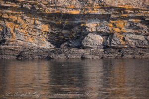 Colours and reflections of Flattop Island