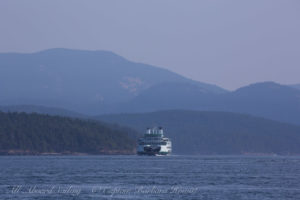 Wa state ferry comes down Upright Channel