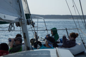 Sailing across the channel to Lopez island