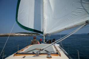 Wing on wing sail to Whale rocks