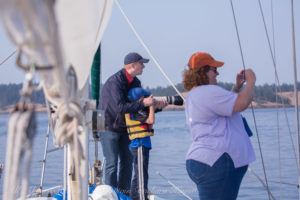 Whale watching Sailing