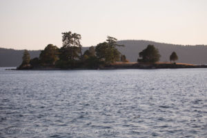 Little McConnell Island