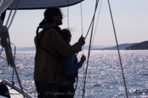 Whale watching sailing