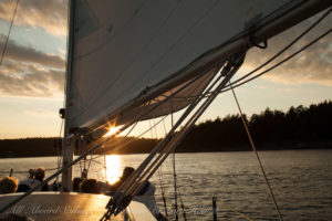 Sunset sail in San Juan Island