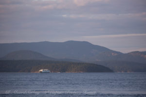 Ferry in Upright Channel