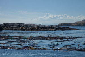 Whale Rocks and Cattle Point Lighthouse