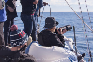 Whale watching sailing