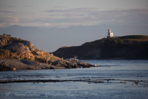 Cattle Point Lighthouse