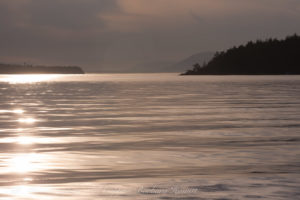 Sunset sailing San Juan Islands