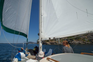 Sailing Wing on wing San Juan Islands