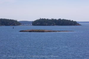 Low Island from Yellow Island