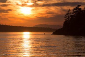 Sunset sail San Juan Islands