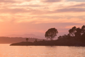 Yellow Island Sunset sail San Juan Islands