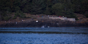 J26 passing Lime Kiln Point State Park