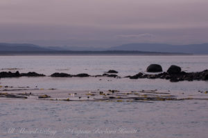 Sunset San Juan Island