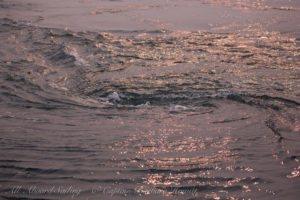 Whirlpool in the currents